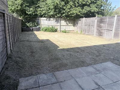Picture 13